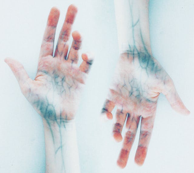 Фото: Elīna Arāja: https://www.pexels.com/ru-ru/photo/3462741/