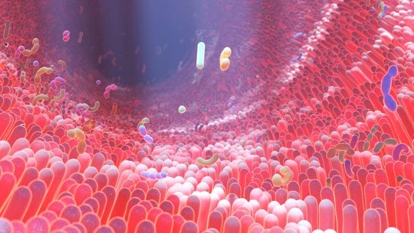ФОТО: pharmaphorum.com