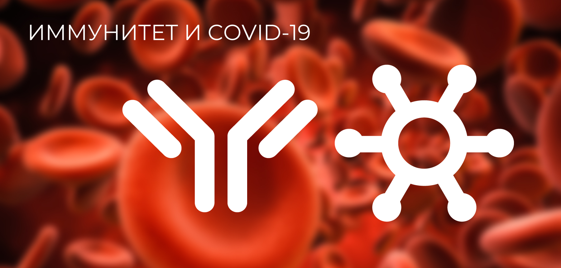 Иммунитет и covid-19